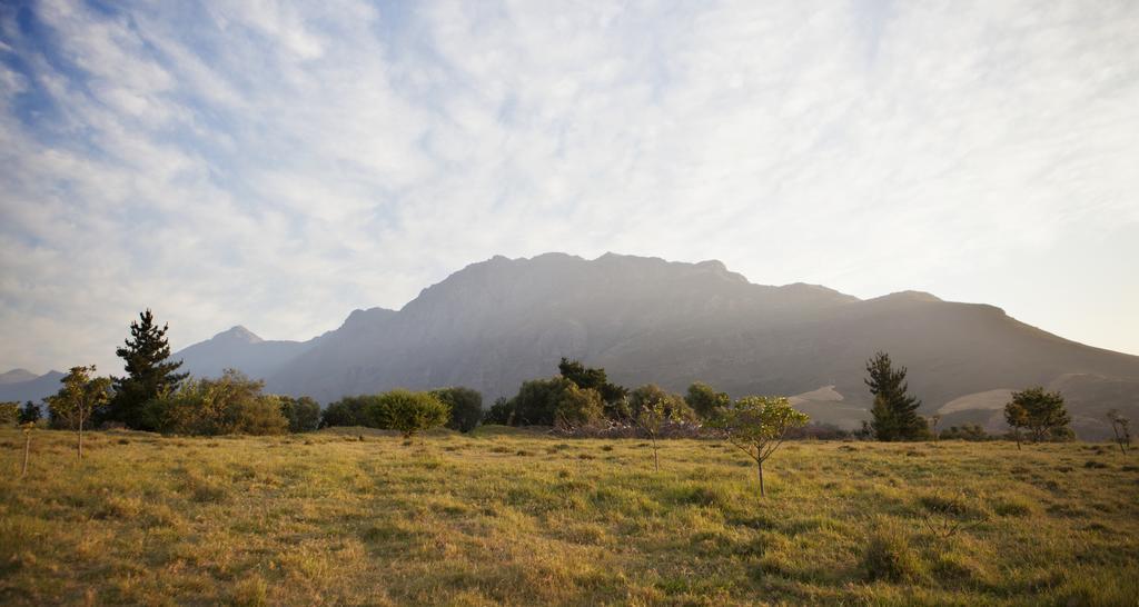 Rozendal Stay Stellenbosch Exterior photo