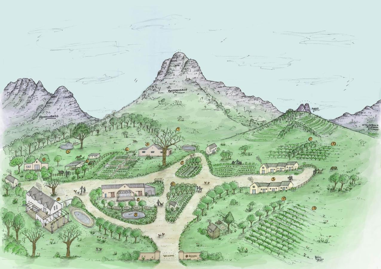 Rozendal Stay Stellenbosch Exterior photo